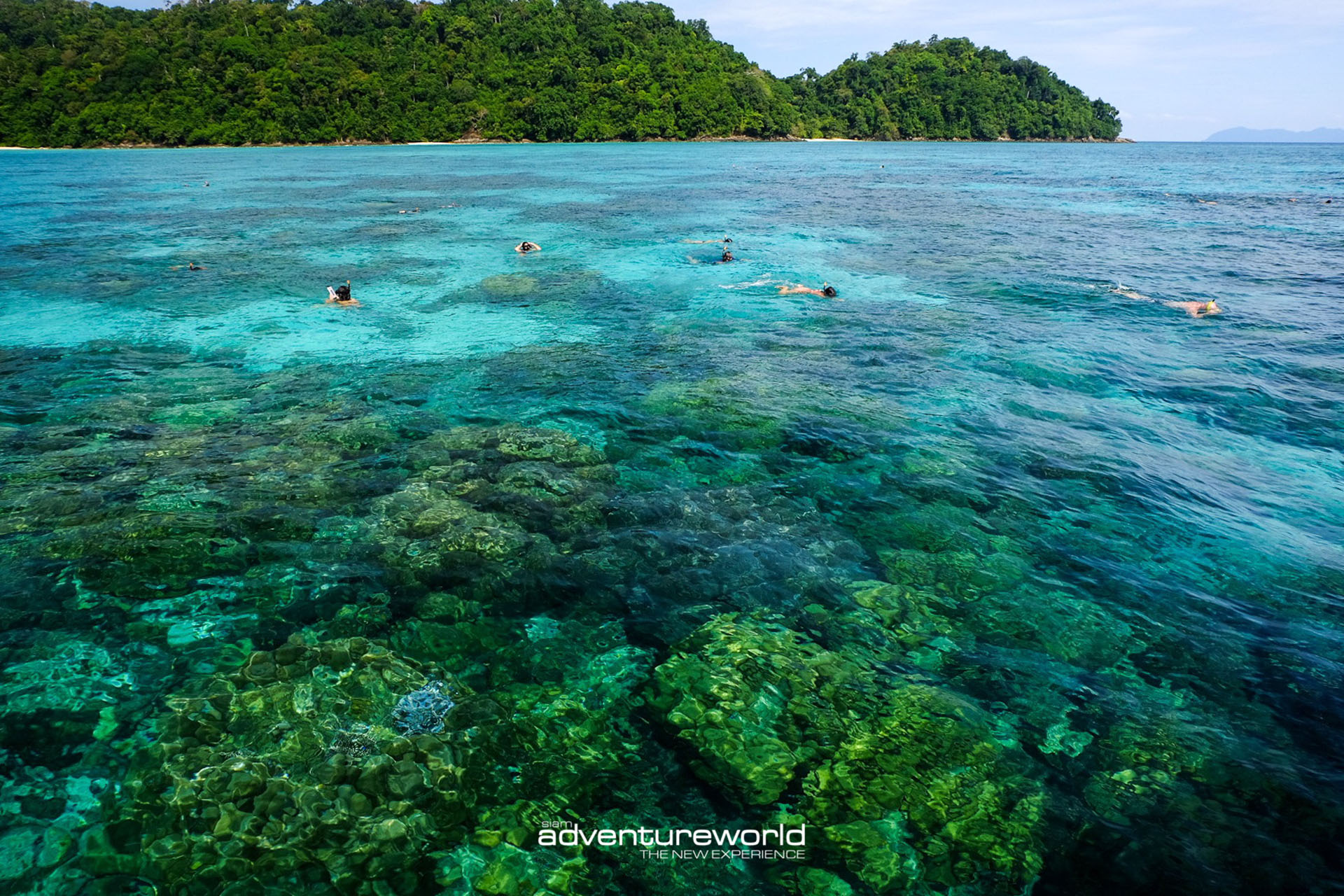 From Phuket: Surin Islands Snorkeling Day Trip