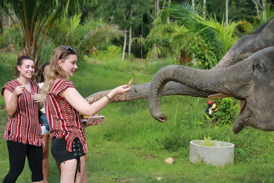 Phuket half day or 2 hour ethical elephant care sanctuary Nai Dee