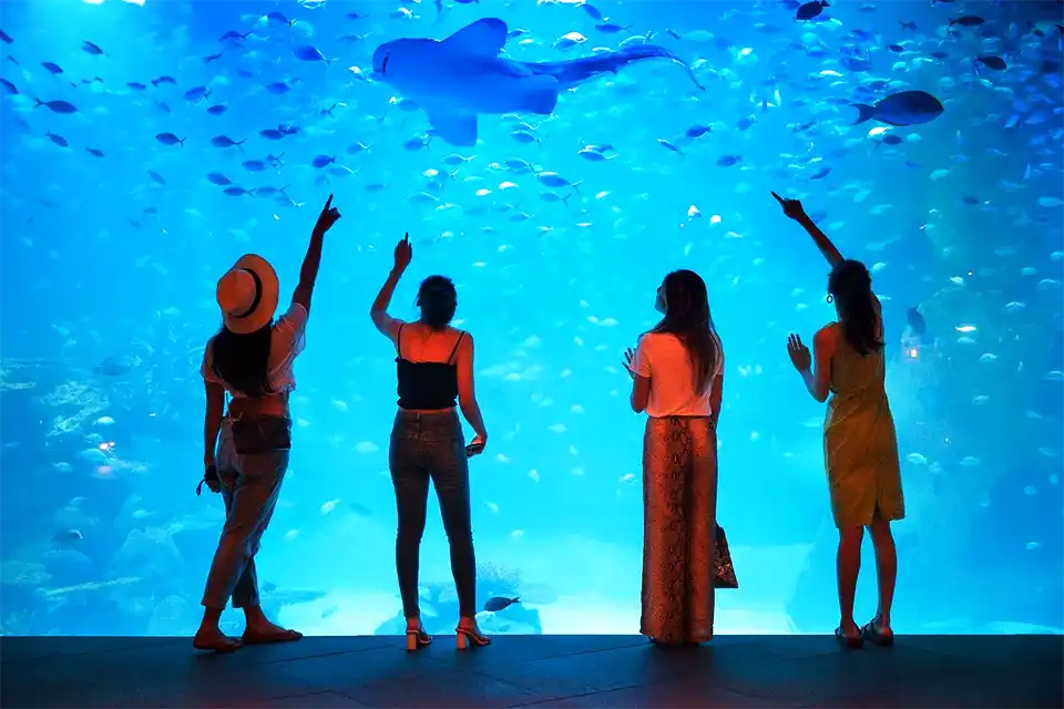 Aquaria Phuket Ticket