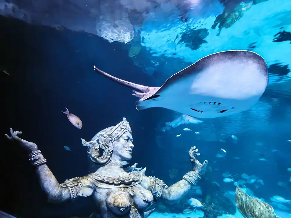 Aquaria Phuket Ticket