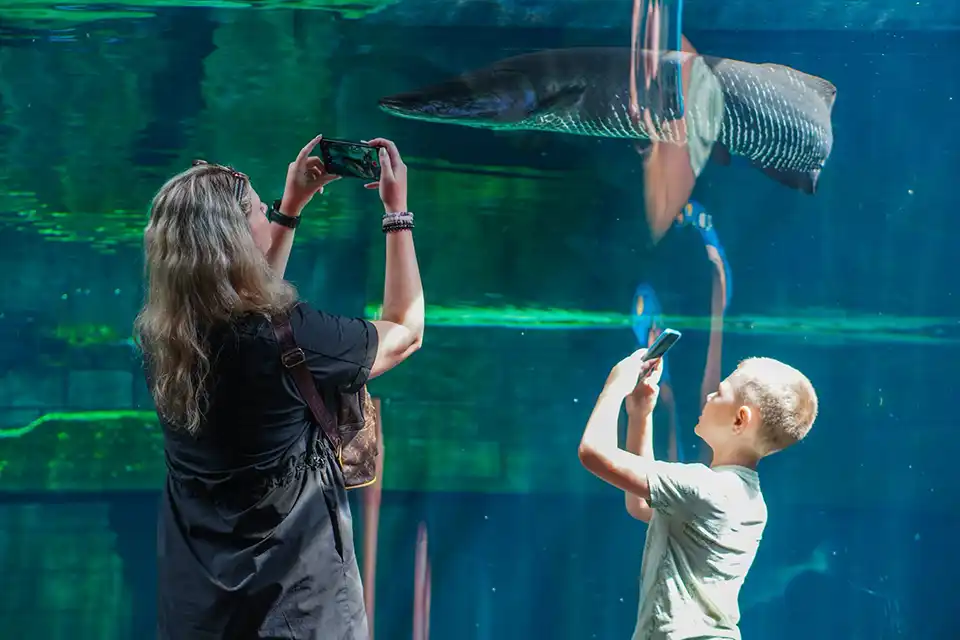 Aquaria Phuket Ticket