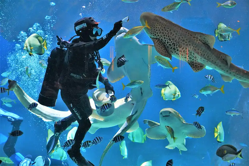 Aquaria Phuket Ticket