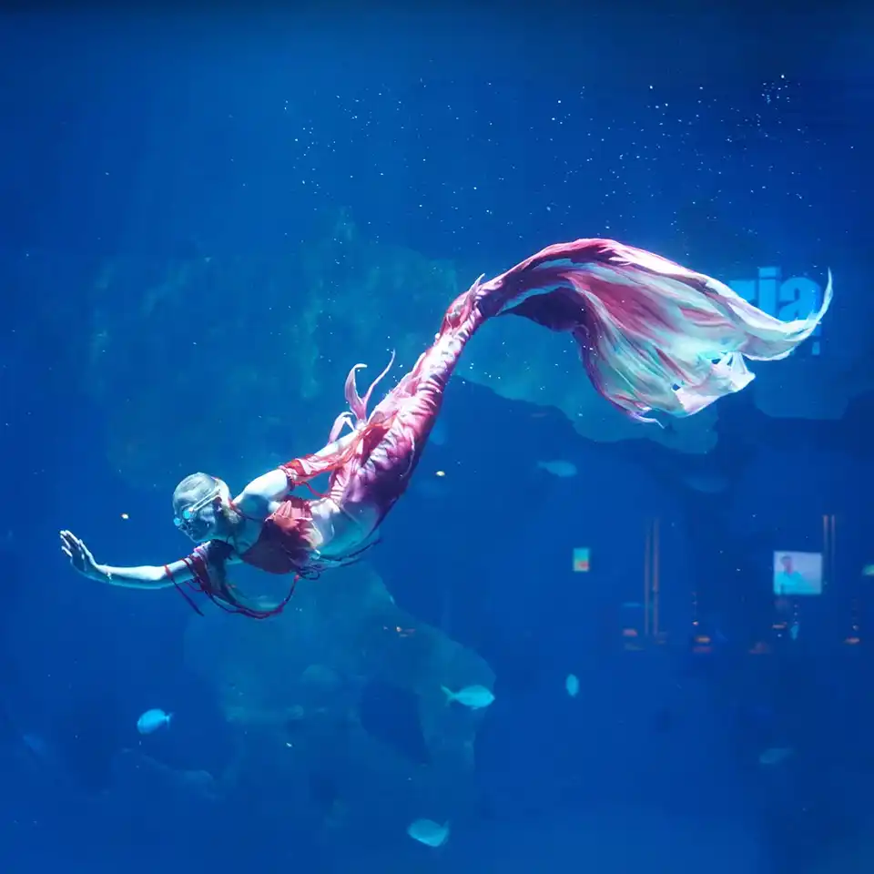 Aquaria Phuket Ticket