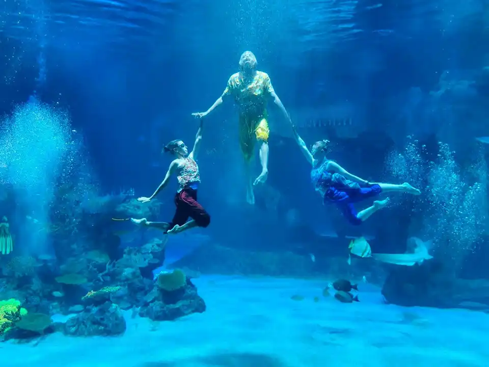 Aquaria Phuket Ticket