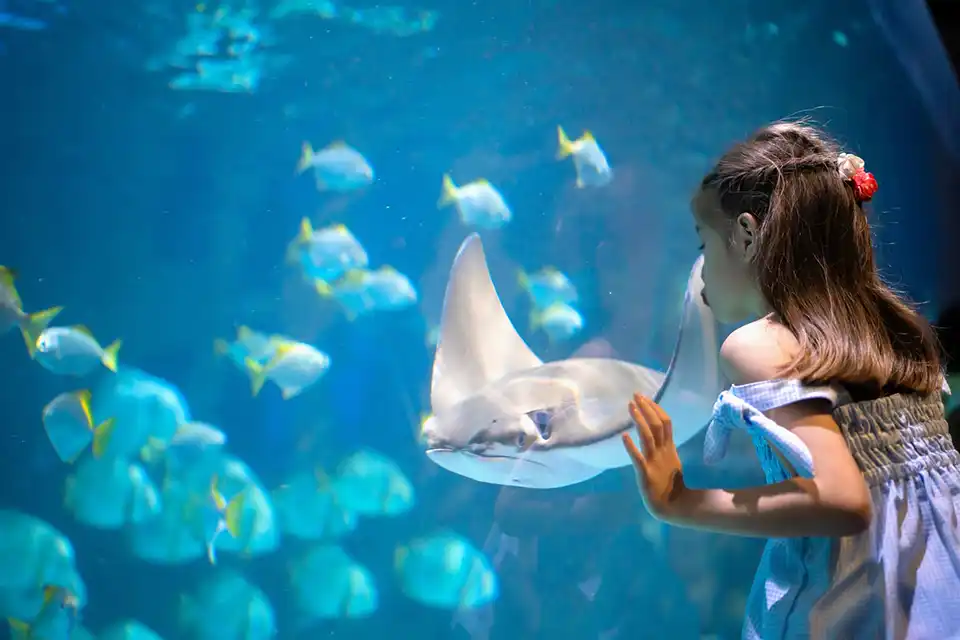 Aquaria Phuket Ticket