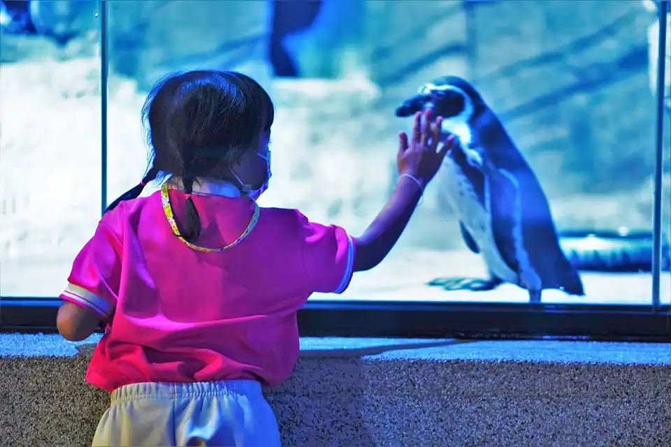 Aquaria Phuket Ticket
