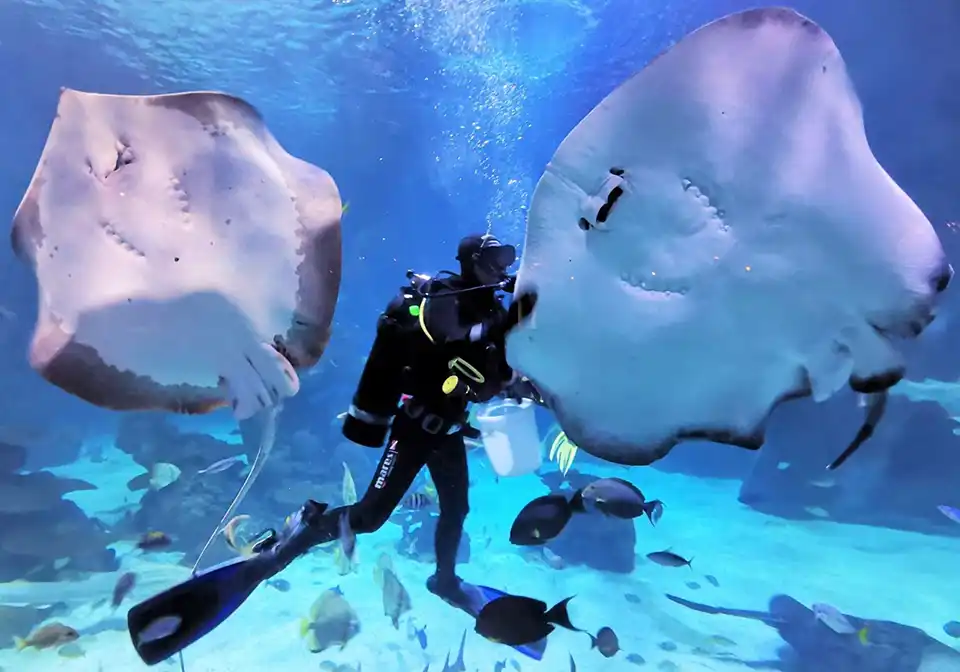 Aquaria Phuket Ticket