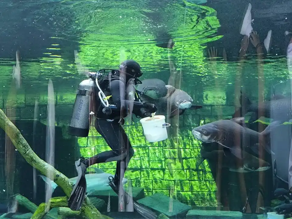 Aquaria Phuket Ticket