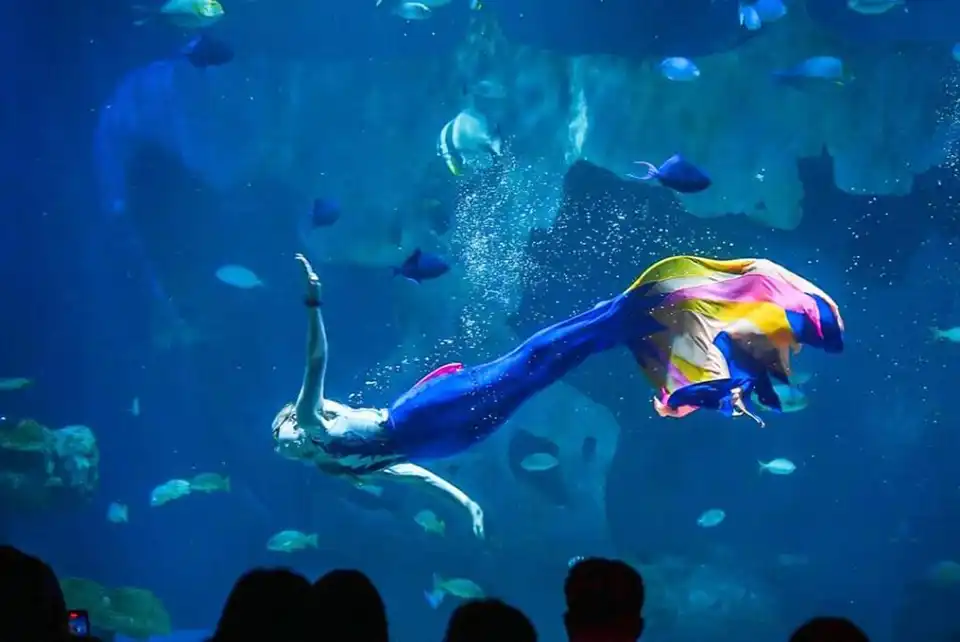 Aquaria Phuket Ticket