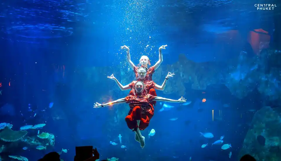 Aquaria Phuket Ticket