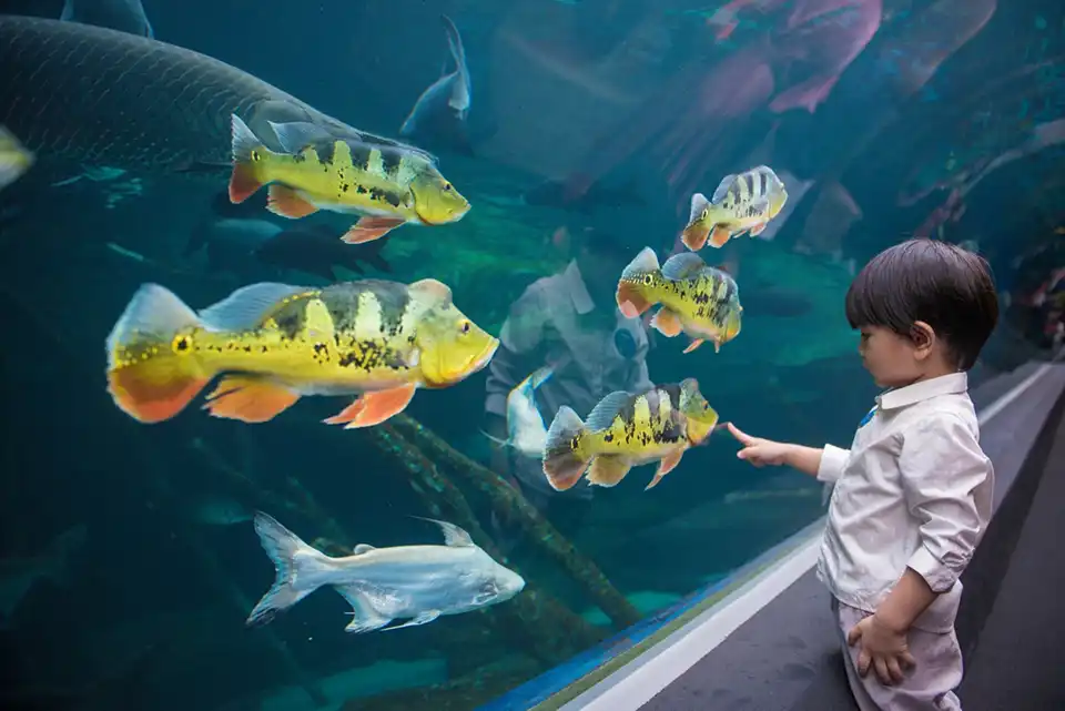 Aquaria Phuket Ticket