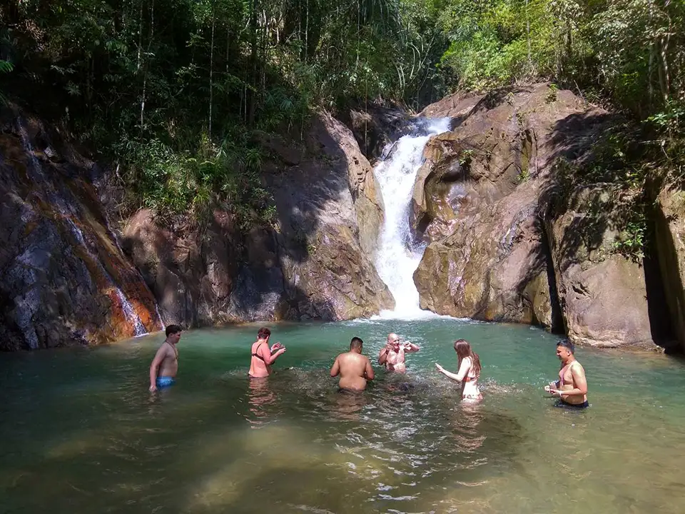 Phuket: Bamboo Rafting Tour with Elephant Bathing