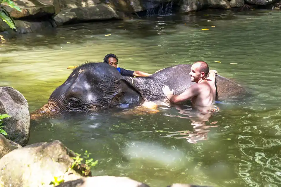 Phuket: Bamboo Rafting Tour with Elephant Bathing