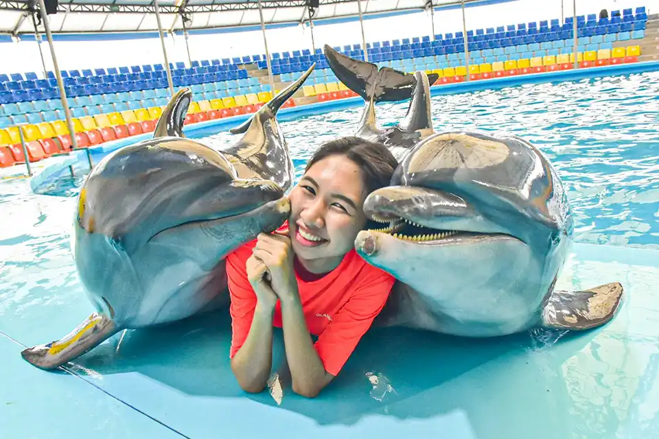 Dolphins Bay Phuket Ticket