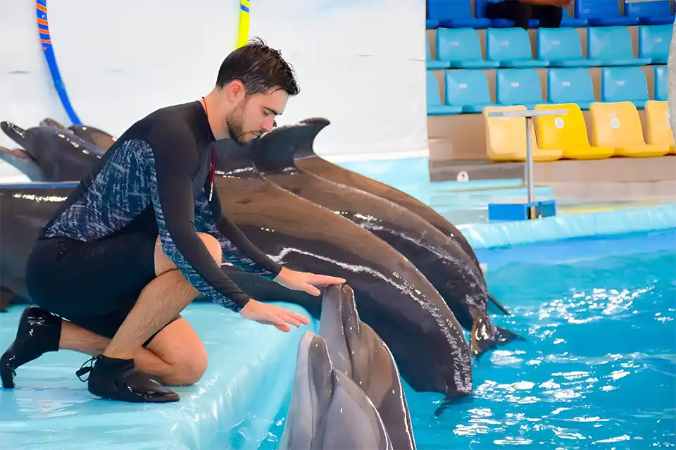 Dolphins Bay Phuket Ticket