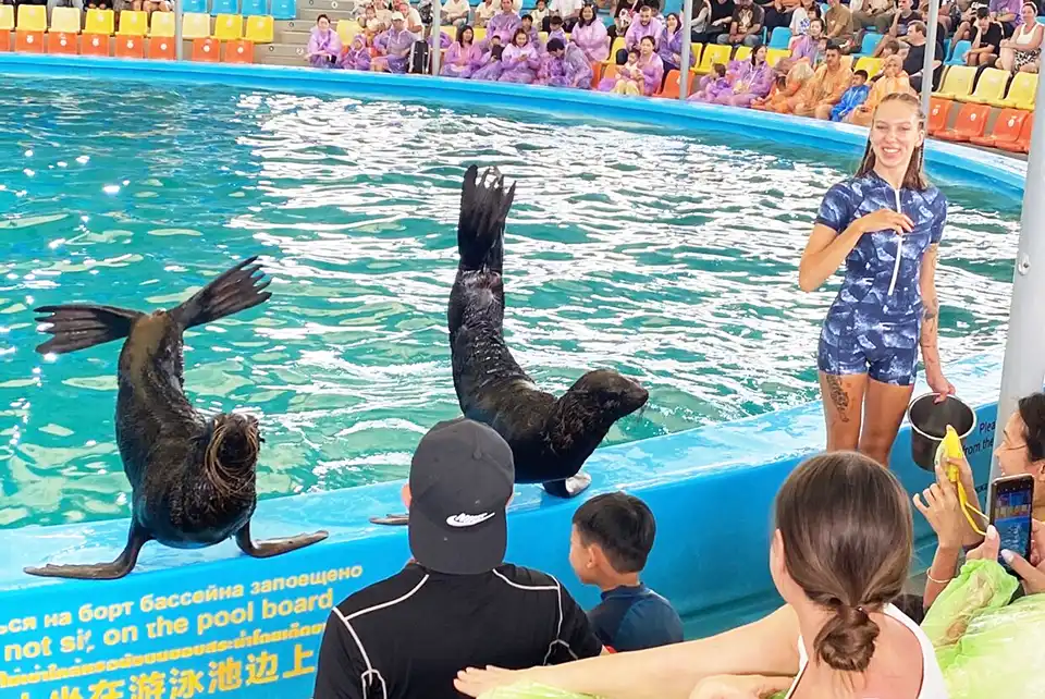 Dolphins Bay Phuket Ticket