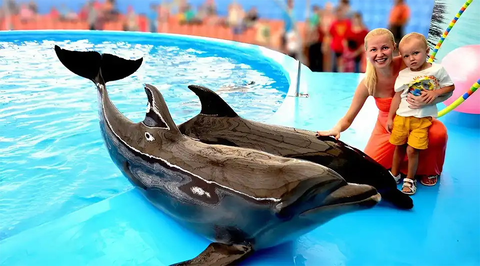 Dolphins Bay Phuket Ticket