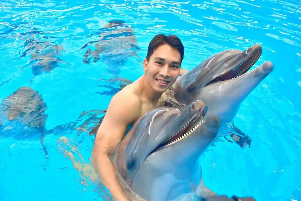 Dolphins Bay Phuket Ticket