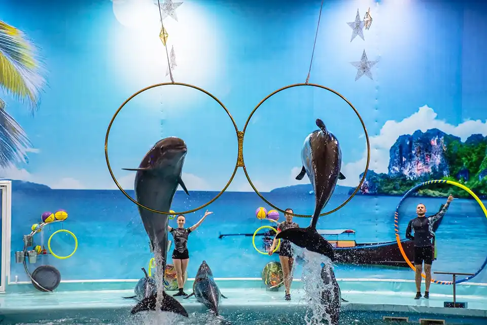 Dolphins Bay Phuket Ticket