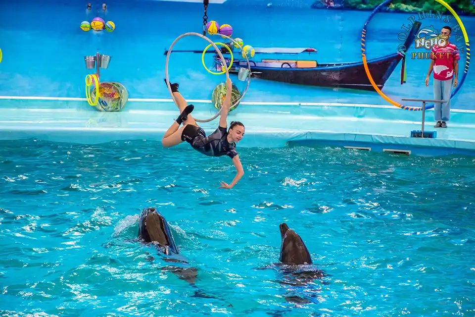 Dolphins Bay Phuket Ticket