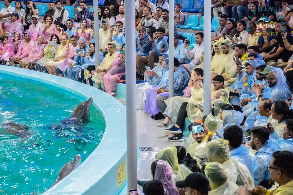 Dolphins Bay Phuket Ticket
