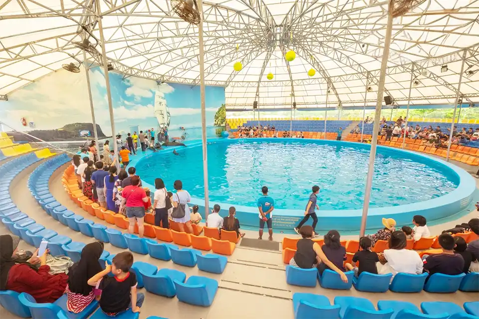 Dolphins Bay Phuket Ticket