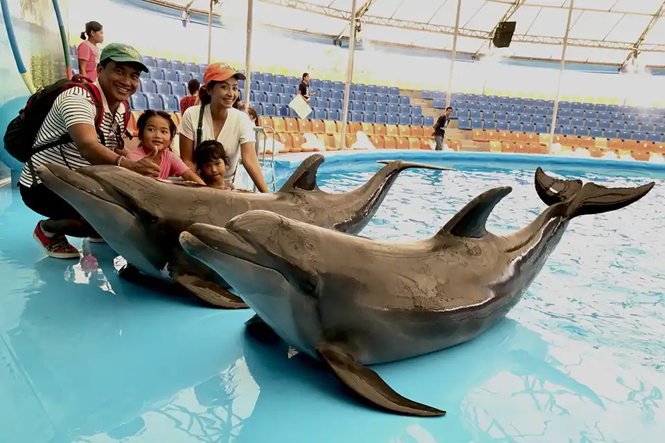 Dolphins Bay Phuket Ticket