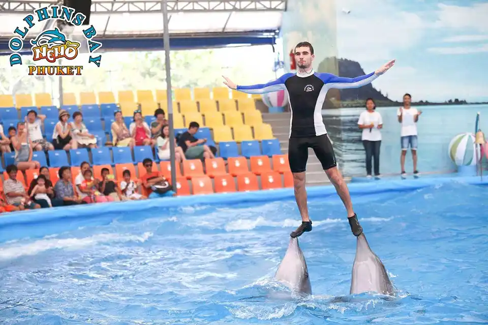 Dolphins Bay Phuket Ticket