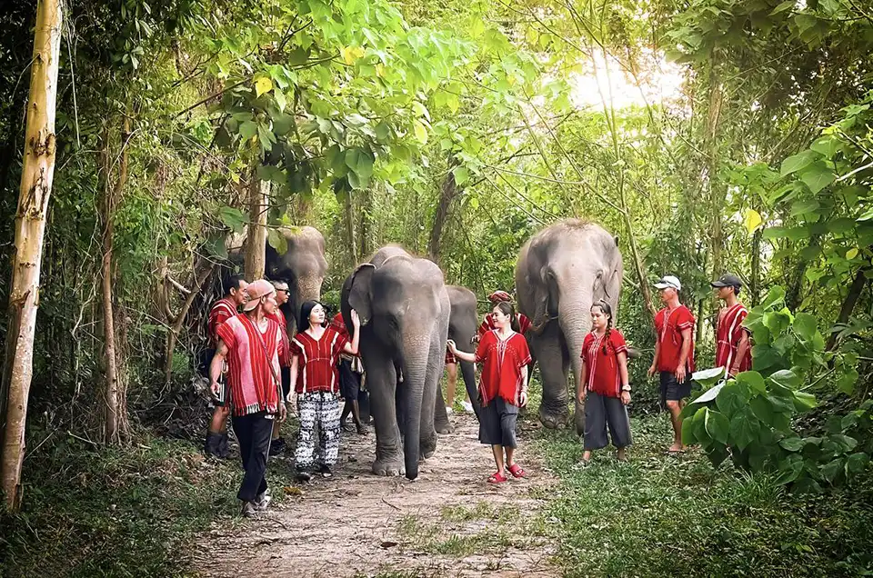 Phuket: Kerchor Elephant Family Park