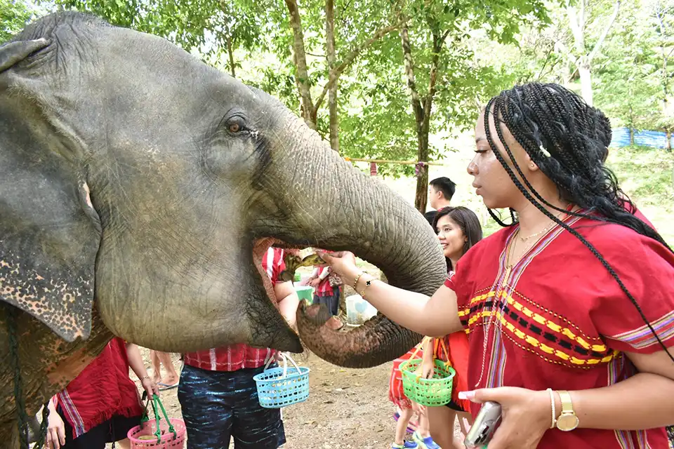 Phuket: Kerchor Elephant Family Park