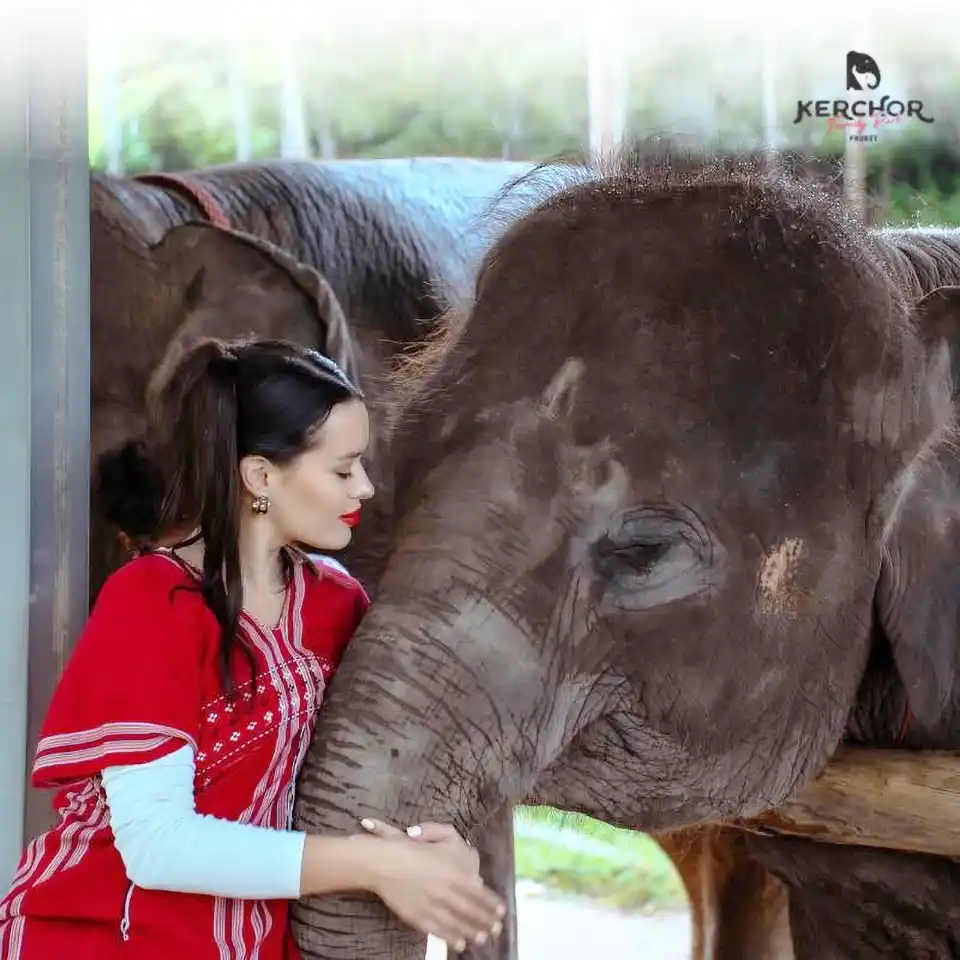 Phuket: Kerchor Elephant Family Park