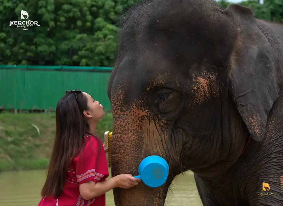 Phuket: Kerchor Elephant Family Park