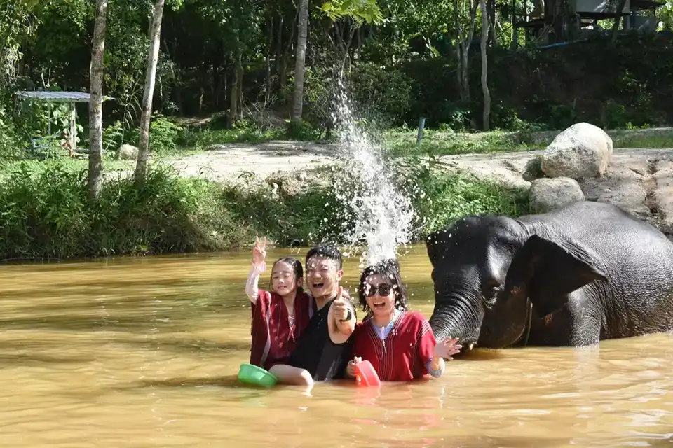 Phuket: Kerchor Elephant Family Park