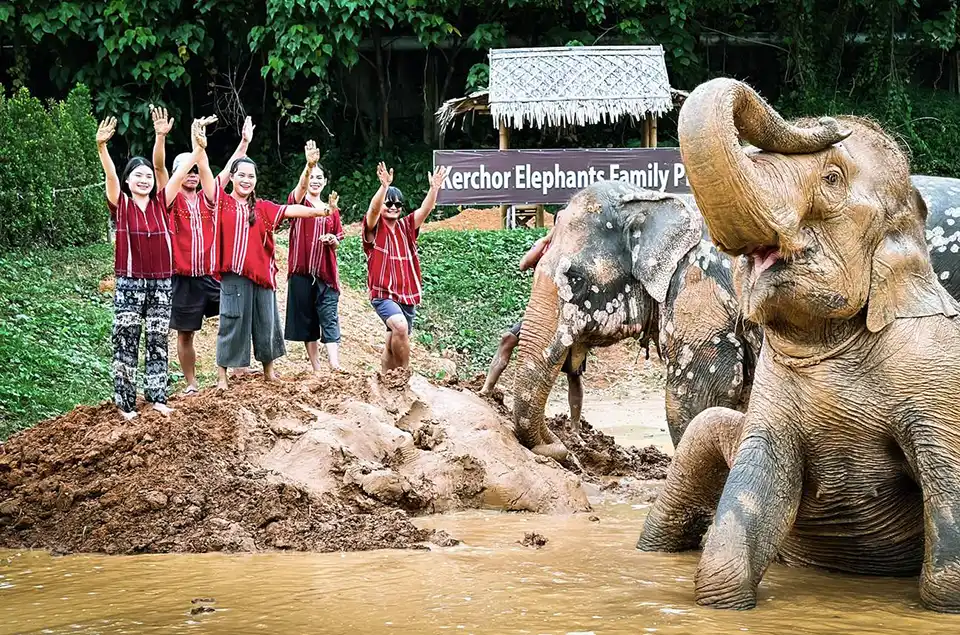 Phuket: Kerchor Elephant Family Park
