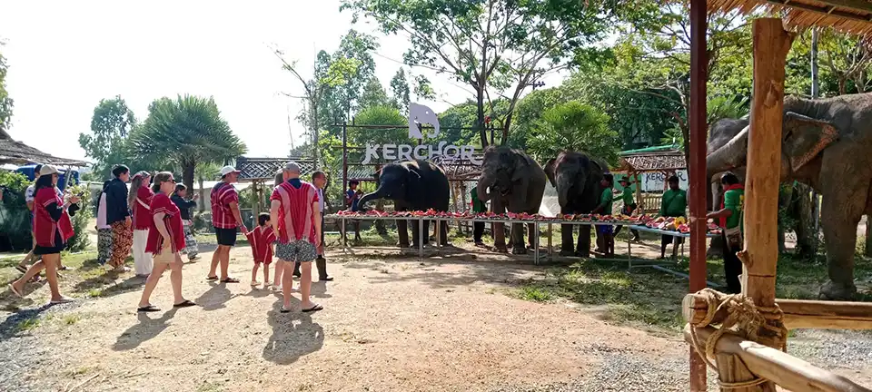 Phuket: Kerchor Elephant Family Park
