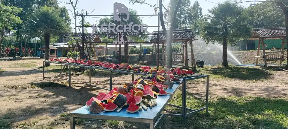Phuket: Kerchor Elephant Family Park