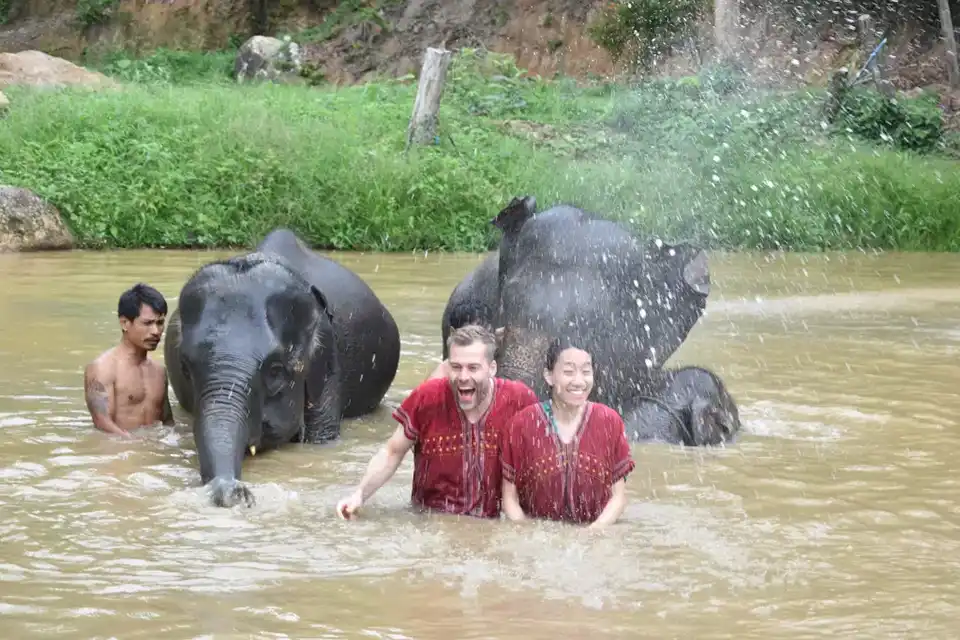 Phuket: Kerchor Elephant Family Park