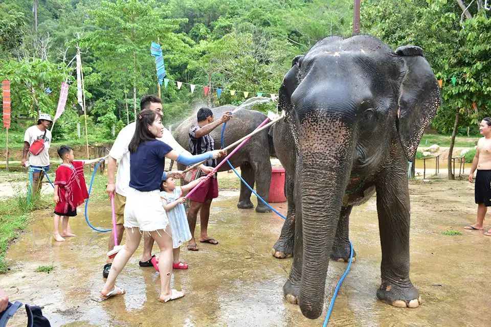Phuket: Kerchor Elephant Family Park