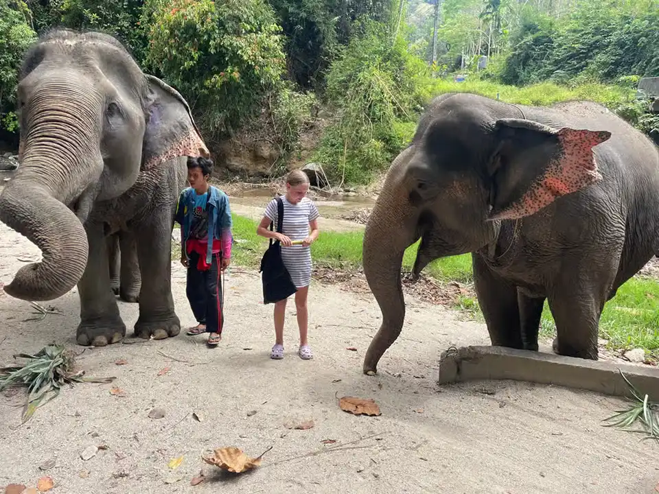 Phuket: OHM Infinity White Water Rafting and Zipline