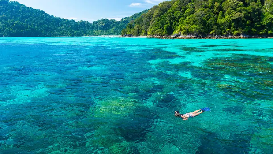 From Phuket: Surin Island One Day Tour by Speed Boat