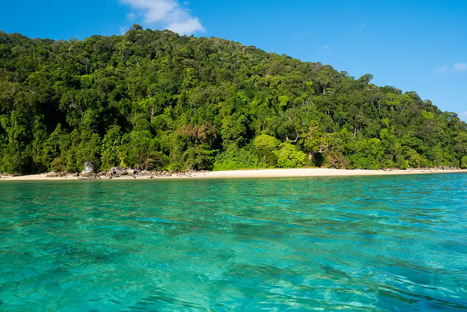 From Phuket: Surin Island One Day Tour by Speed Boat