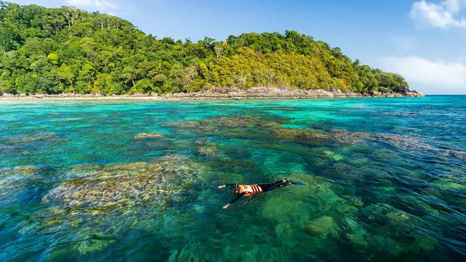 From Phuket: Surin Island One Day Tour by Speed Boat
