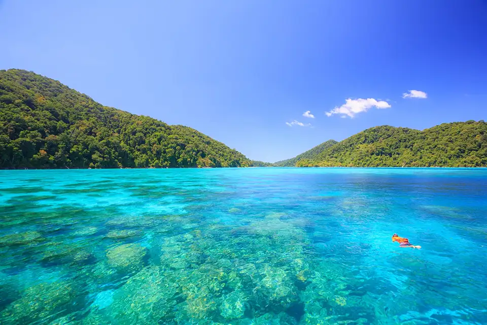 From Phuket: Surin Island One Day Tour by Speed Boat