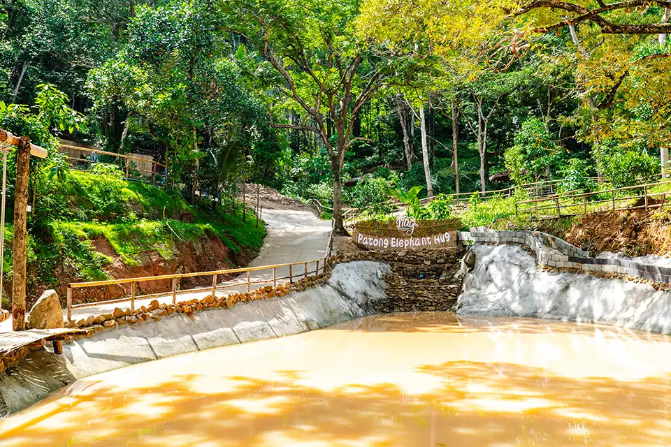 Phuket: Patong Elephant Hug Experience
