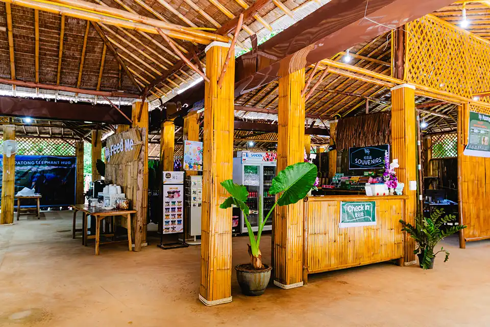 Phuket: Patong Elephant Hug Experience