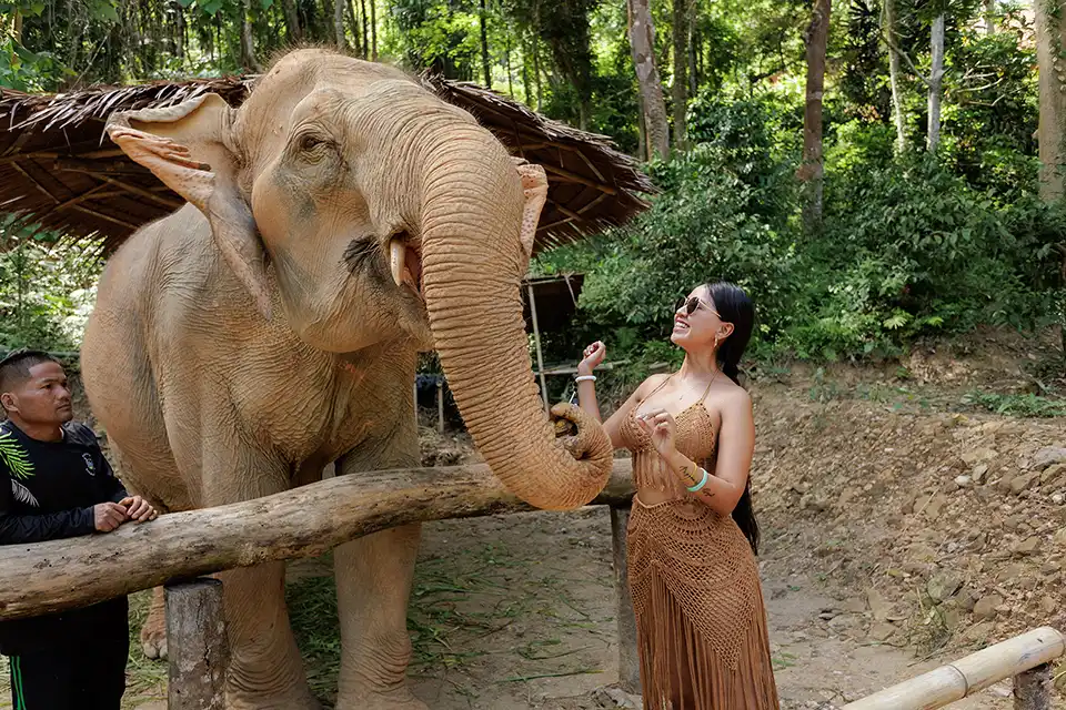 Phuket: Patong Elephant Hug Experience
