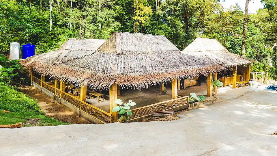 Phuket: Patong Elephant Hug Experience