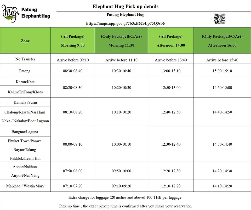 Phuket: Patong Elephant Hug Experience
