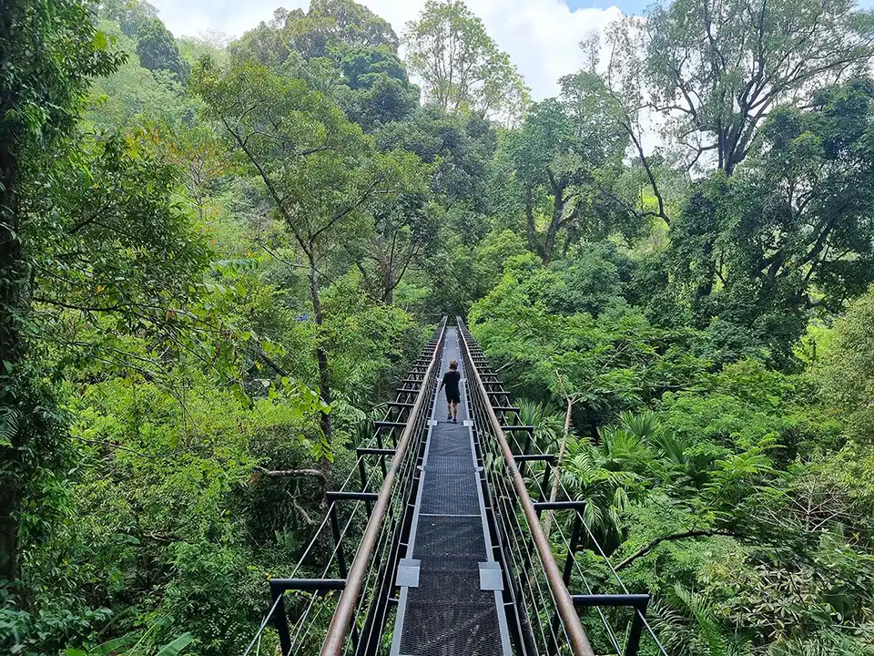 Phuket: Hanuman World Zipline Adventure