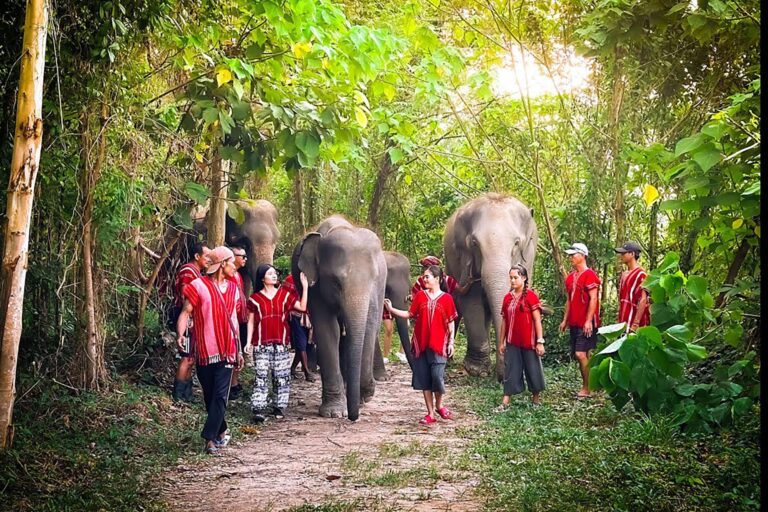 Chiang Mai: Kerchor Elephant Eco Park